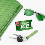 Dentyne Ice Spearmint imported USA product packaging overview