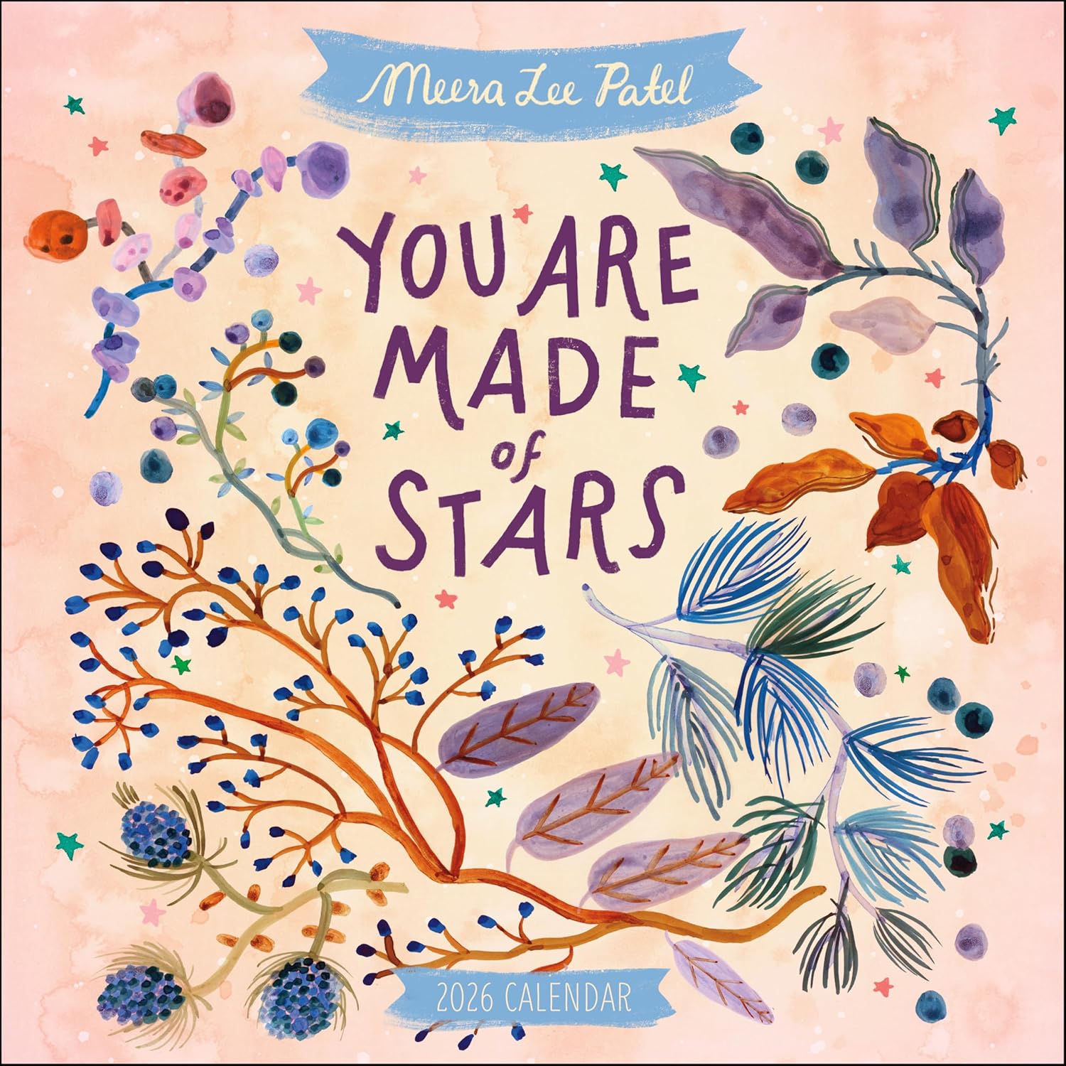 Meera Lee Patel 2026 Wall Calendar: You Are Made of Stars - Image 1