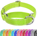 Seyezo martingale dog collar front view in vibrant green color showing reflective striping