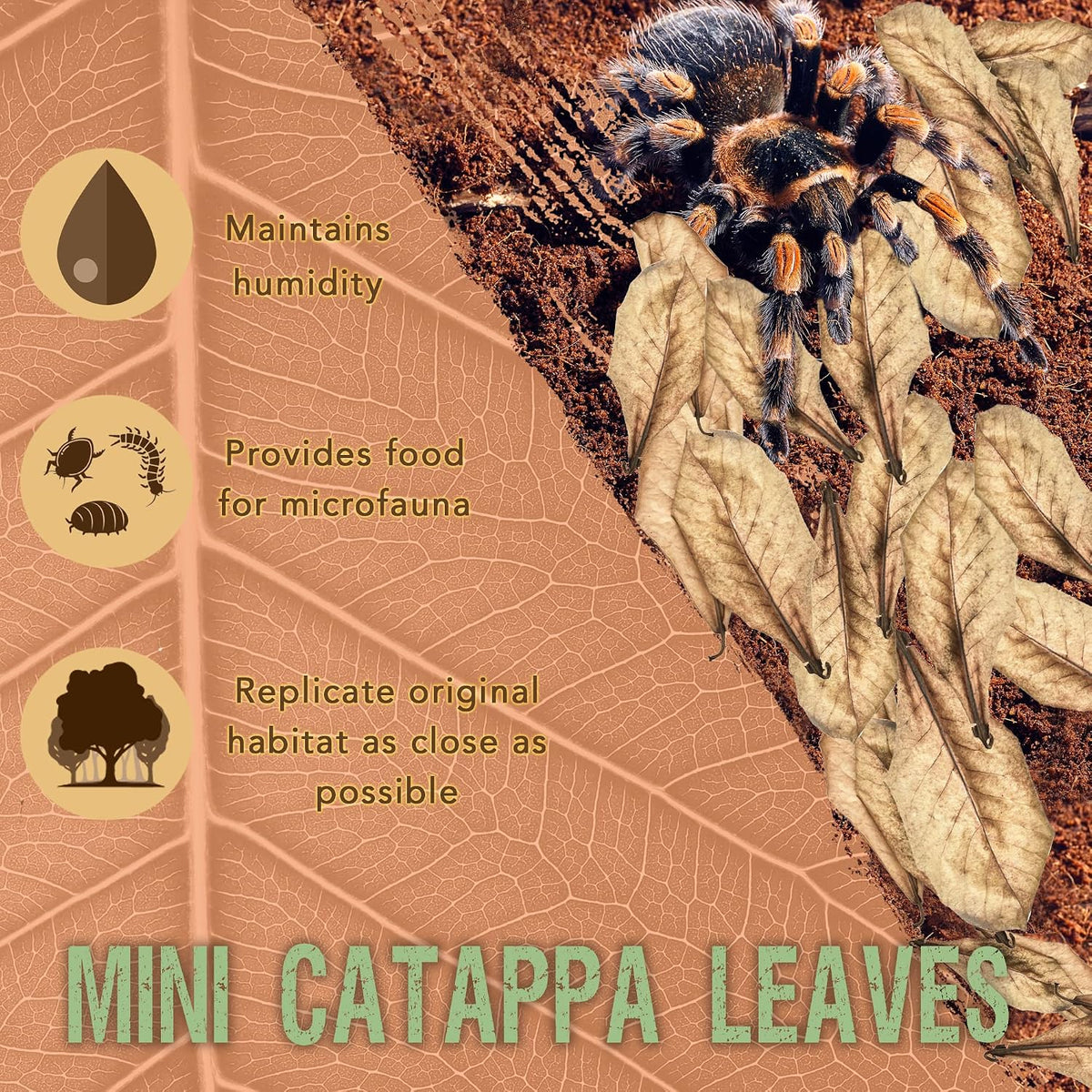 SunGrow dried Indian almond leaves pack showing small two inch leaves