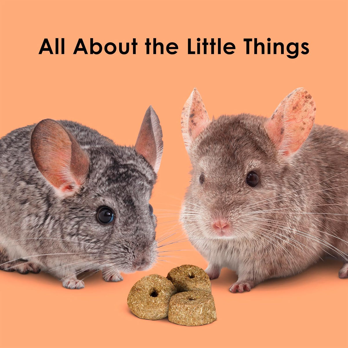 Premium 4 ounce bag of baked wellness treats for chinchillas and hamsters.