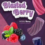 Wiley Wallaby Blasted Berry vegan plant based ingredients callout on the pack.
