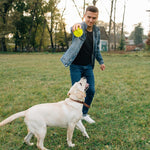 Interactive play with squeaky dog ball