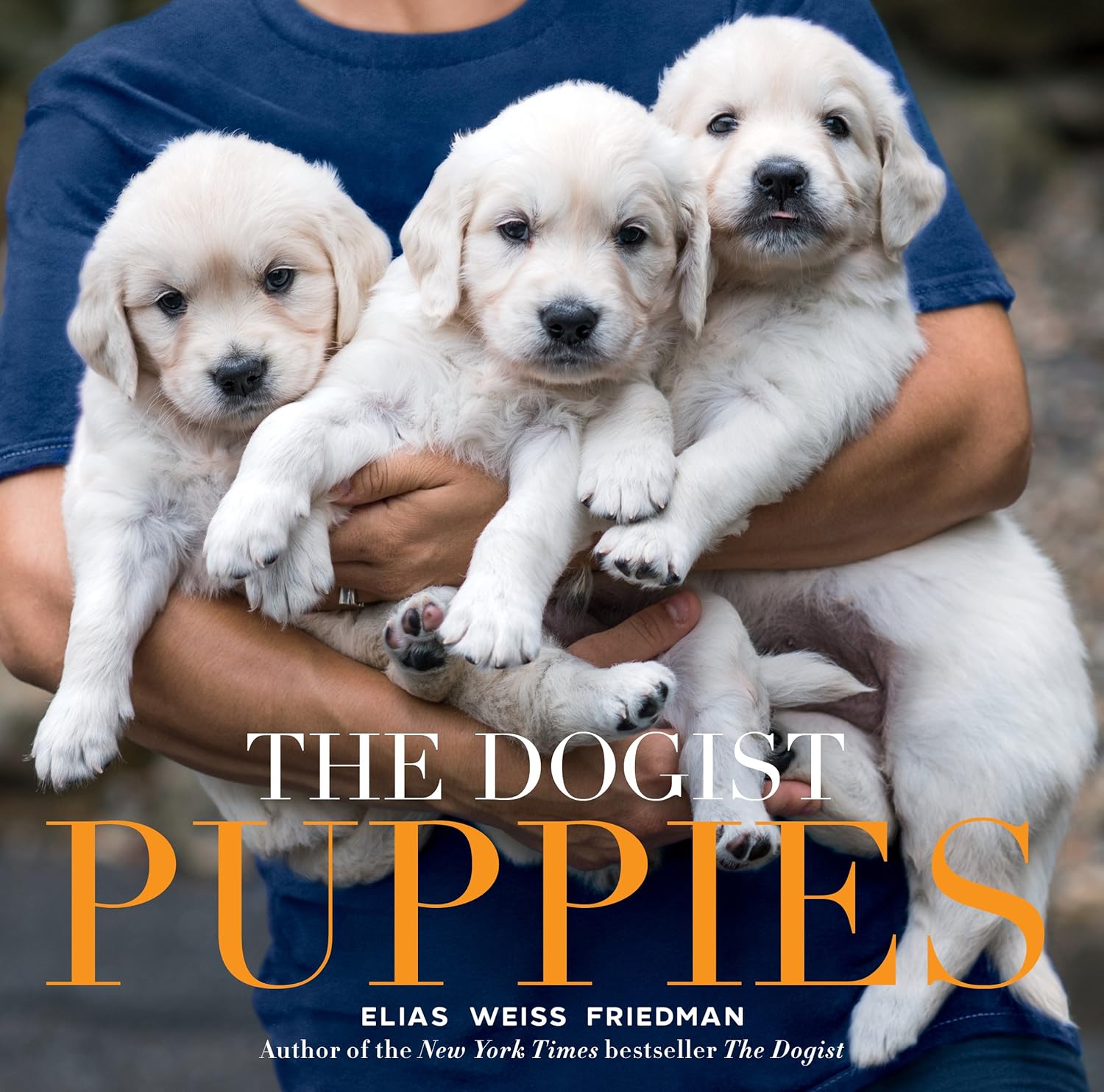 The Dogist Puppies - Image 1