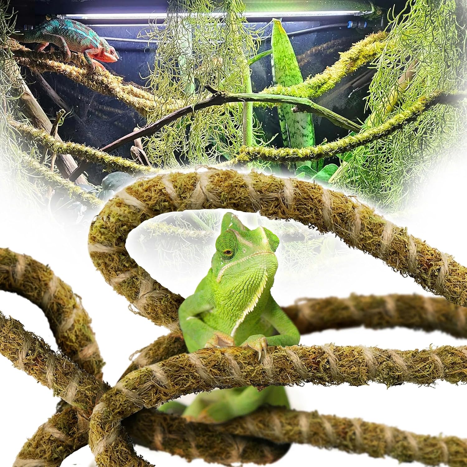 Duspro 10FT reptile vine with moss texture displayed in coiled shape