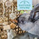 Oxbow chinchilla and hamster natural fiber chew wall alternative angle