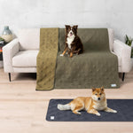 PetAmi dog blanket green color overview