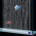 Hygger high dissolved oxygen aquarium diffuser creating a bubble wall
