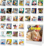 Gethelud 40 Pages Funny Desk Sign, Desktop Flip Book 34 Different Fun and Flip-Over Messages Plus 6 Pages Erasable Blank Cards for Office Gifts Desk Accessories - Image 9