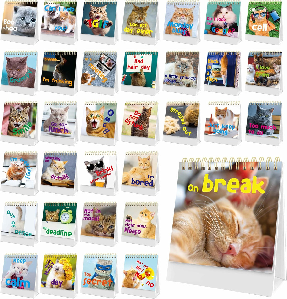 Gethelud 40 Pages Funny Desk Sign, Desktop Flip Book 34 Different Fun and Flip-Over Messages Plus 6 Pages Erasable Blank Cards for Office Gifts Desk Accessories - Image 9