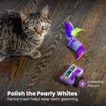 Catstages So Meowsome cat toys packaging details