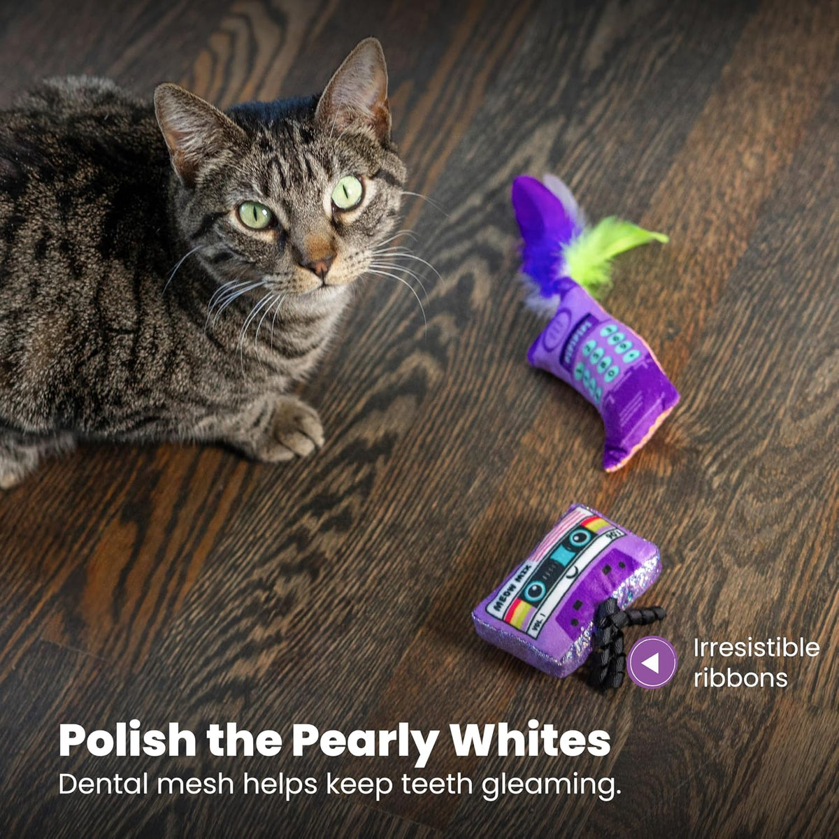 Catstages So Meowsome cat toys packaging details