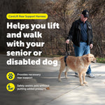 Black PetSafe dog mobility harness with lifting handle