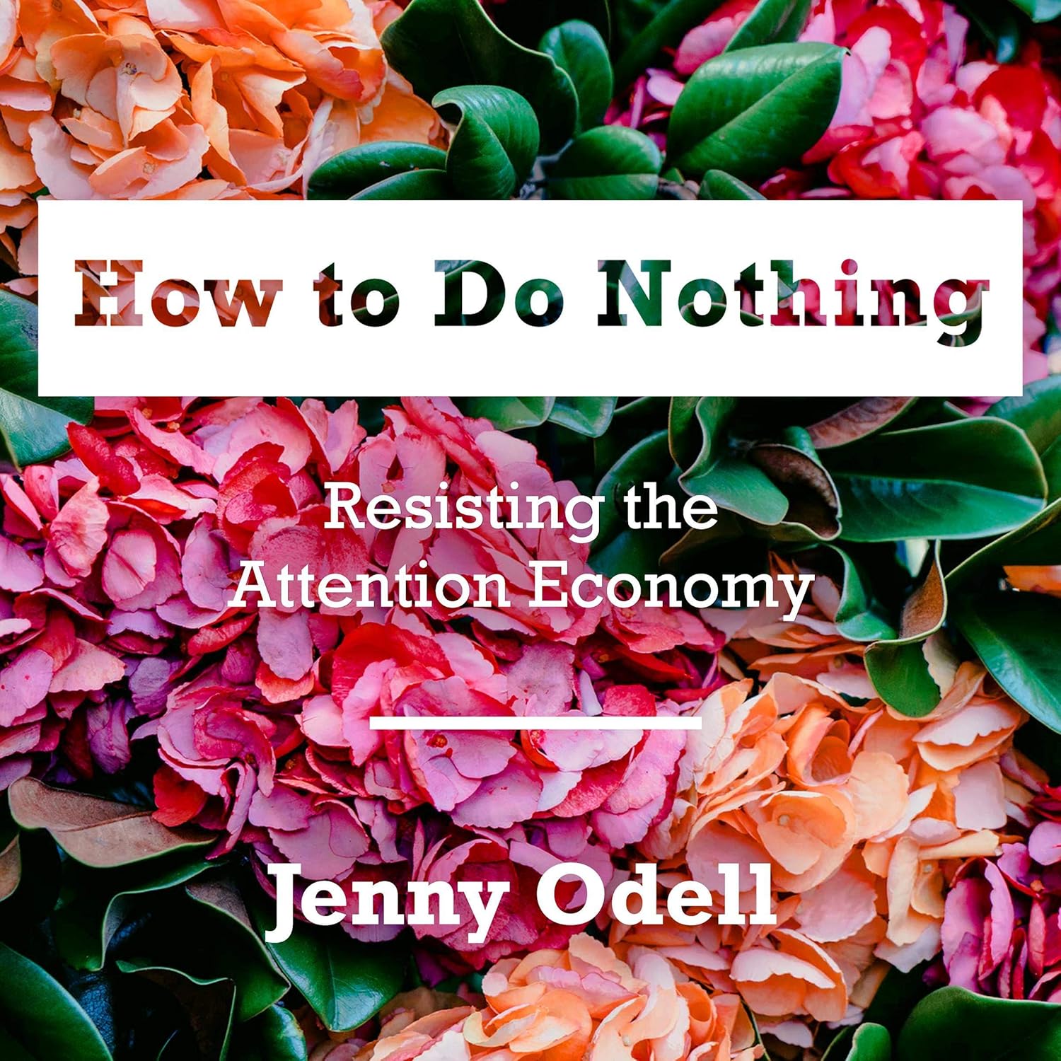 How to Do Nothing: Resisting the Attention Economy - Image 1