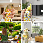 Releasable conure diaper costume package imported from United States