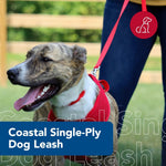 Coastal Pet high quality single ply pet leash close up on sturdy metal swivel bolt snap