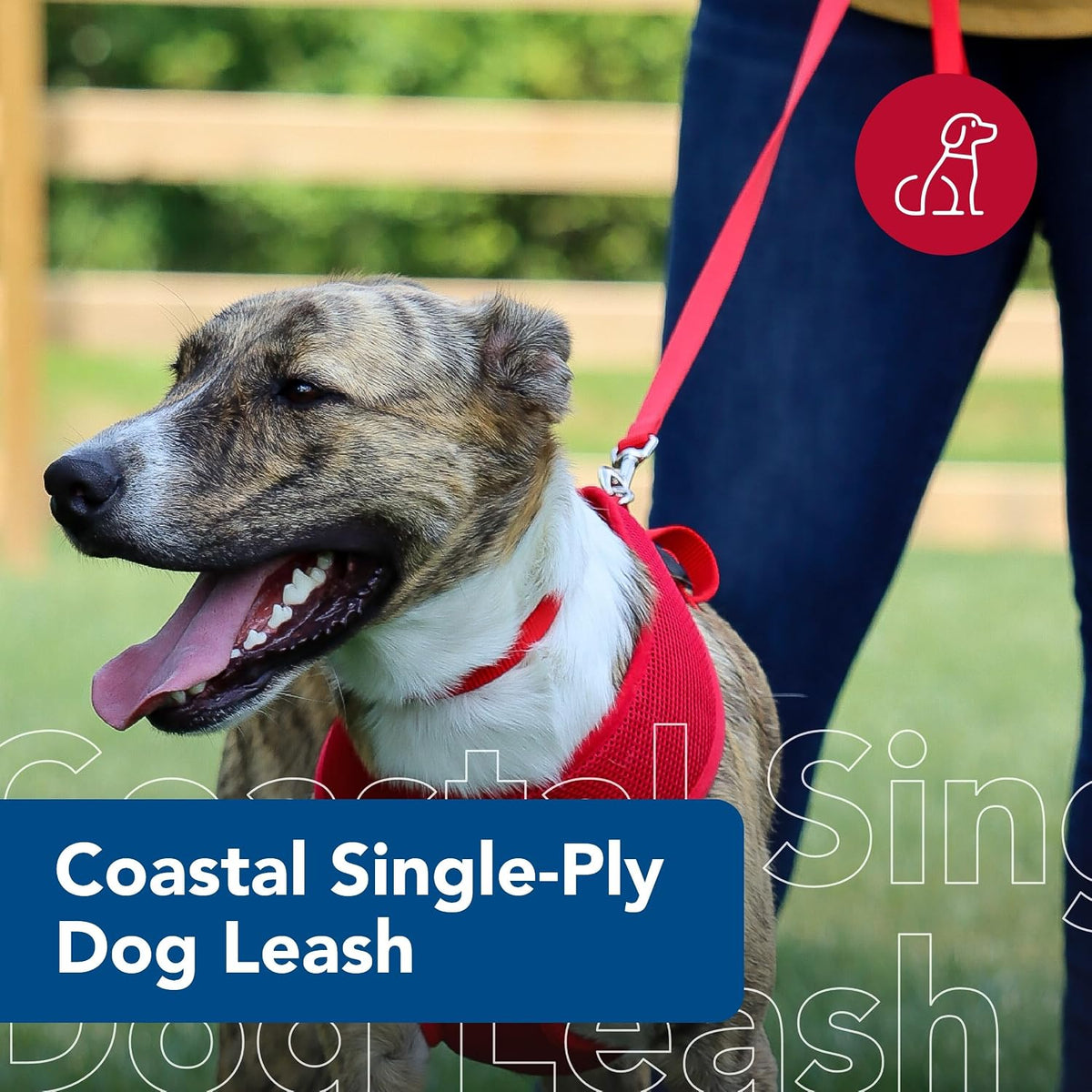 Coastal Pet high quality single ply pet leash close up on sturdy metal swivel bolt snap