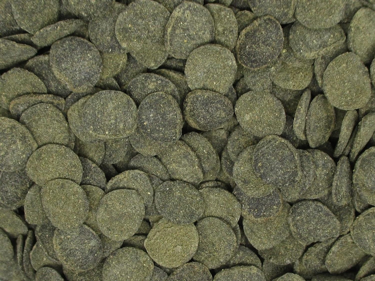 Nutrient-rich mini algae discs for bottom feeding fish and invertebrates