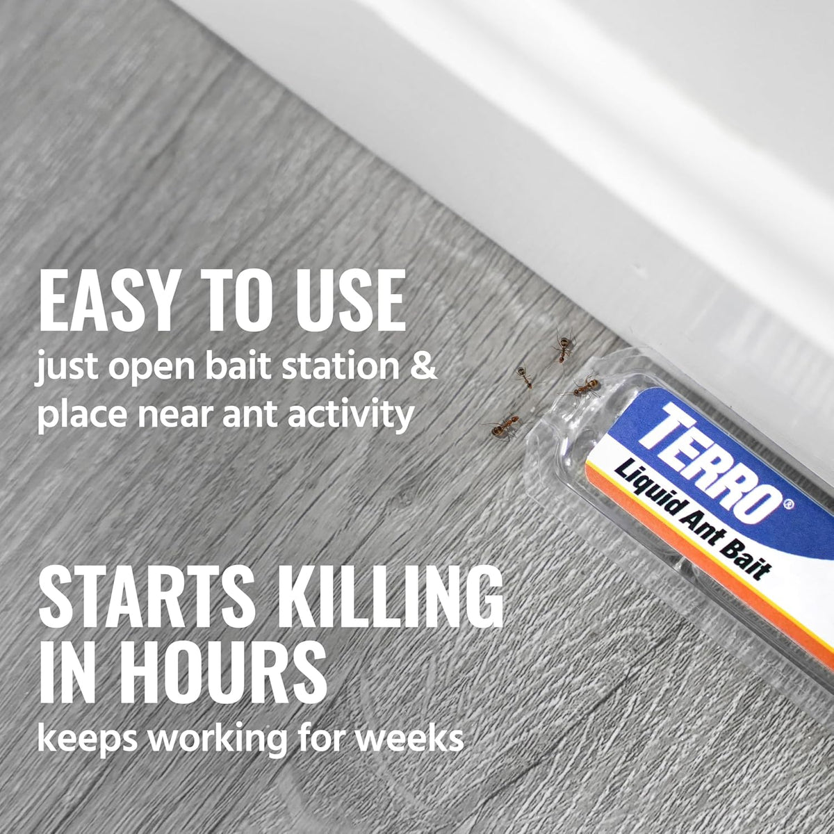 Terro ant bait placement near baseboard illustration