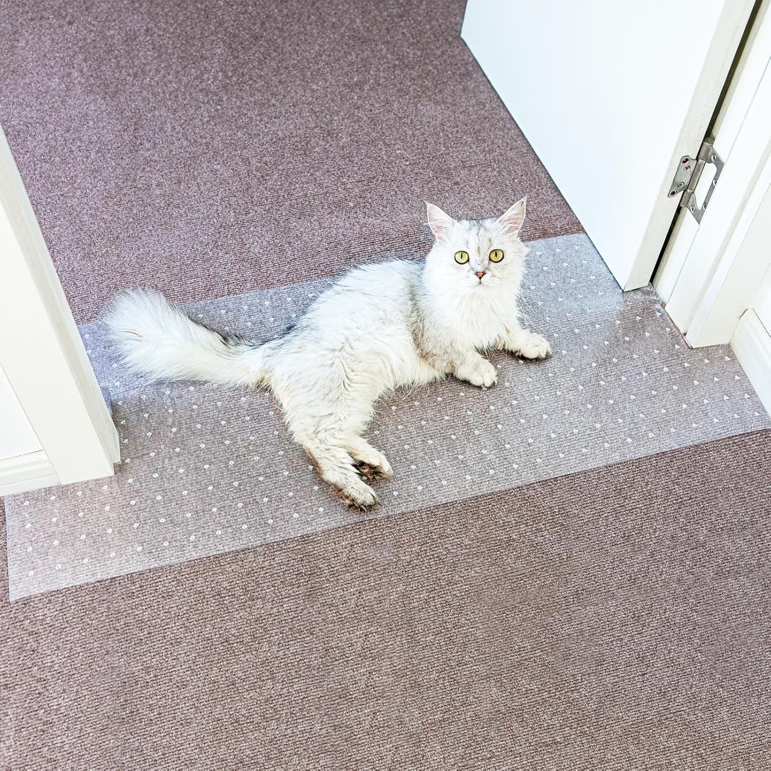 Oroonoko cat carpet protector front view showing clear plastic material for doorway safety.