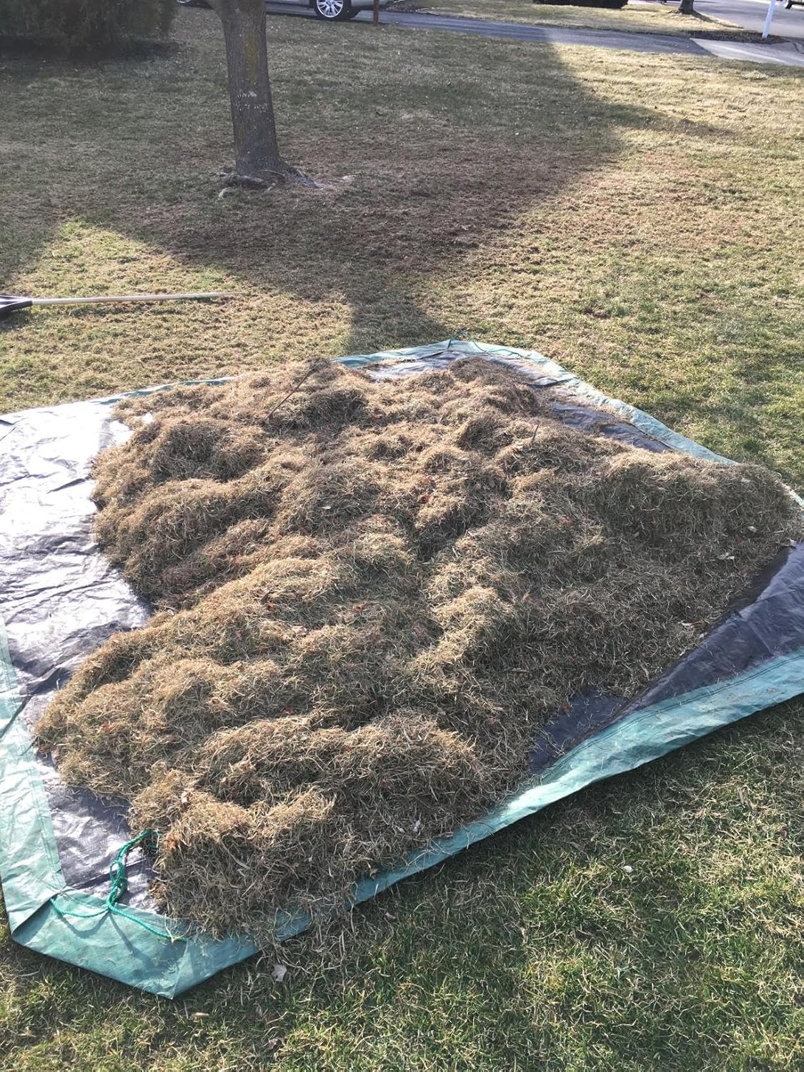 Green utility yard tarp spread flat on lawn with autumn leaves