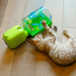 Cat engaging with the wiggly dancing cactus toy attachment