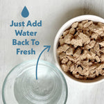 Fresh Is Best raw feline diet high protein chicken recipe back label details