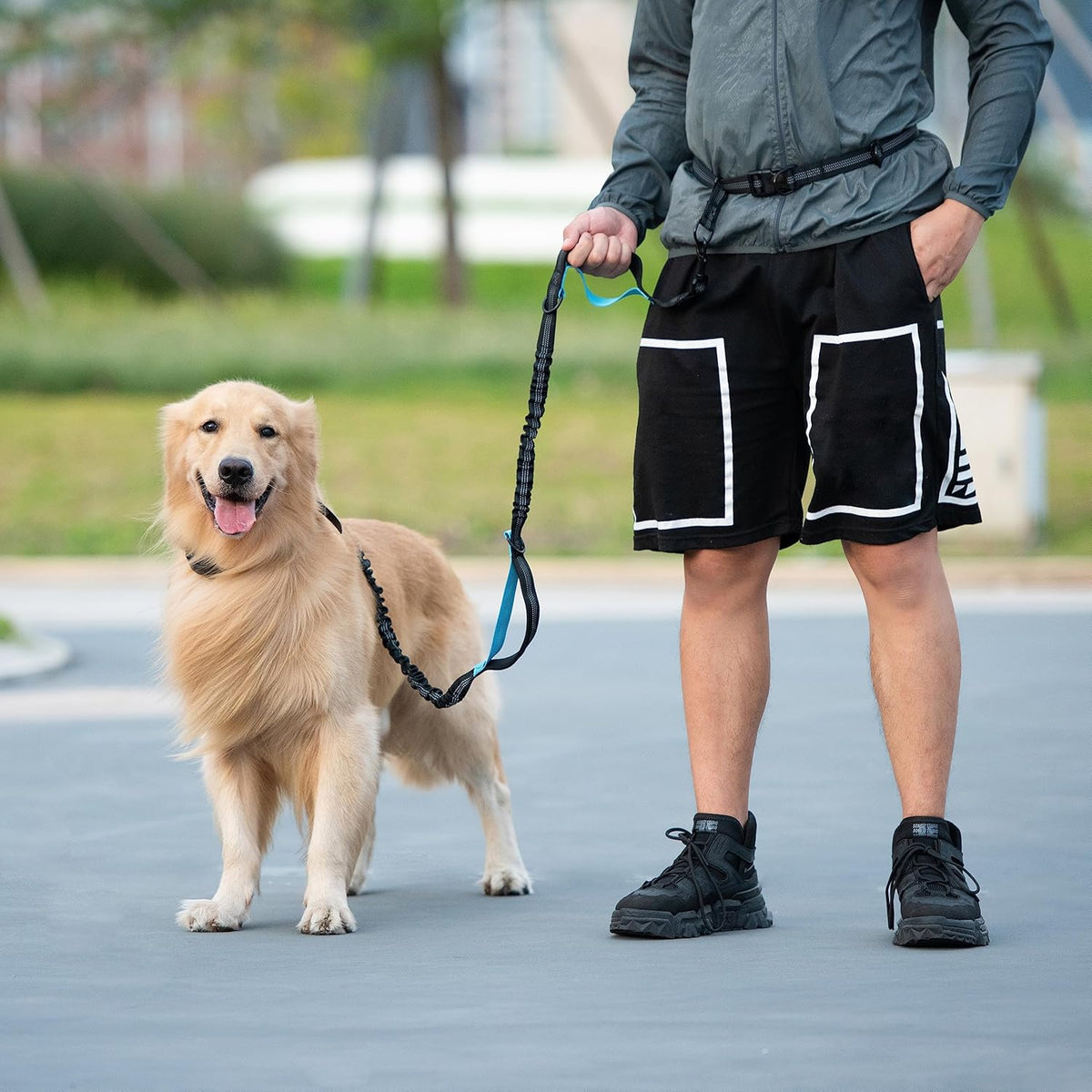 Small dog walking with IyoShop hands free leash system