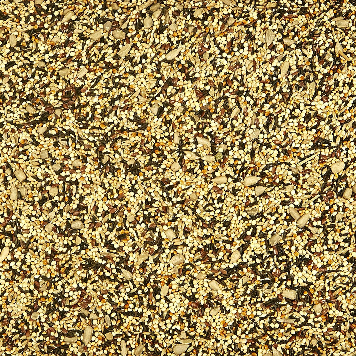 Close up of Kaytee finch food seed texture