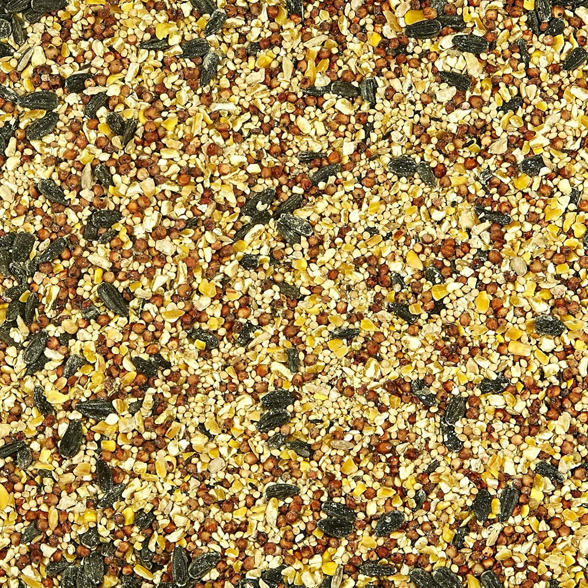 Close up of Kaytee All American bird seed blend texture