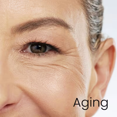 The Ordinary Anti-Aging