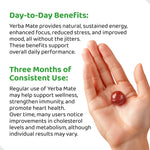 Close up of yellow yuzu ginger yerba mate gummies for focus