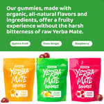 Authentic USA imported HOLYMARY wellness gummies for Indian consumers