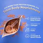 Individual packet of FlavCity Chocolate Peanut Butter protein smoothie with organic mushroom blend.