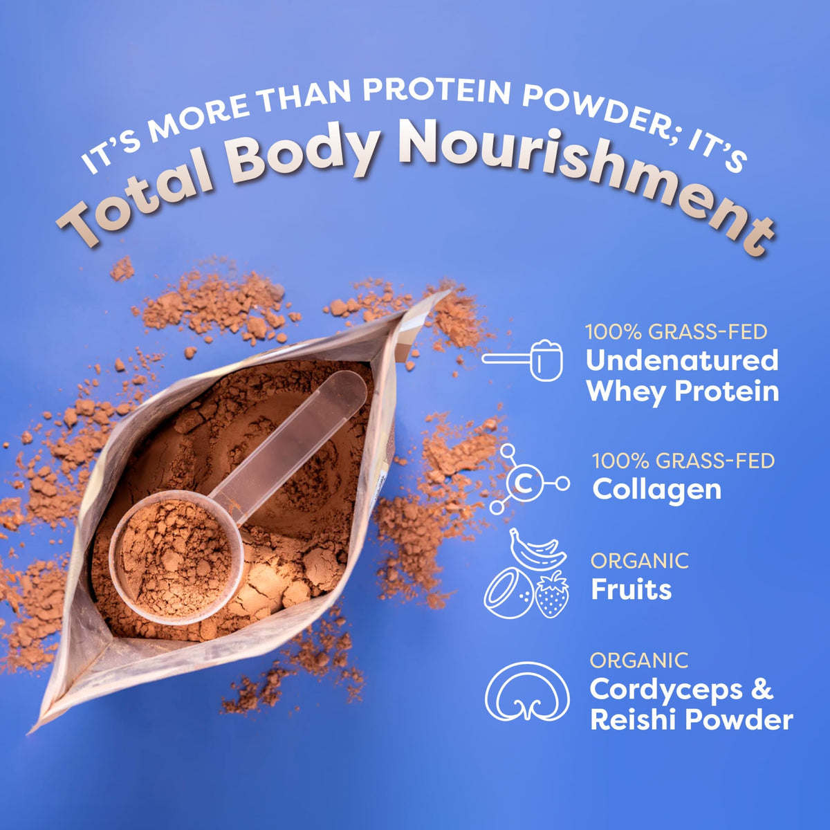 Individual packet of FlavCity Chocolate Peanut Butter protein smoothie with organic mushroom blend.