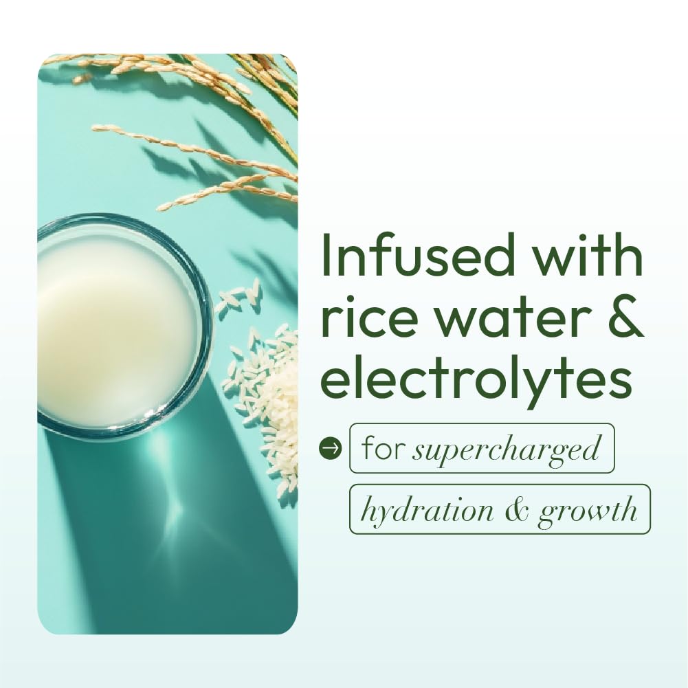 Authentic ORS rice water hair cream for professional styling preparation