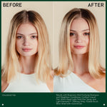 Aveda micellar shampoo back label showing directions and ingredients