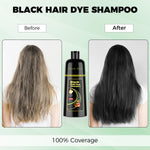JIESSIA herbal hair color shampoo packaging showing argan oil ingredients