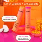 Amika Normcore Signature vitamin rich shampoo packaging and label details