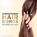 Imported USA Pantene moisture renewal shampoo bottle close up on ingredients