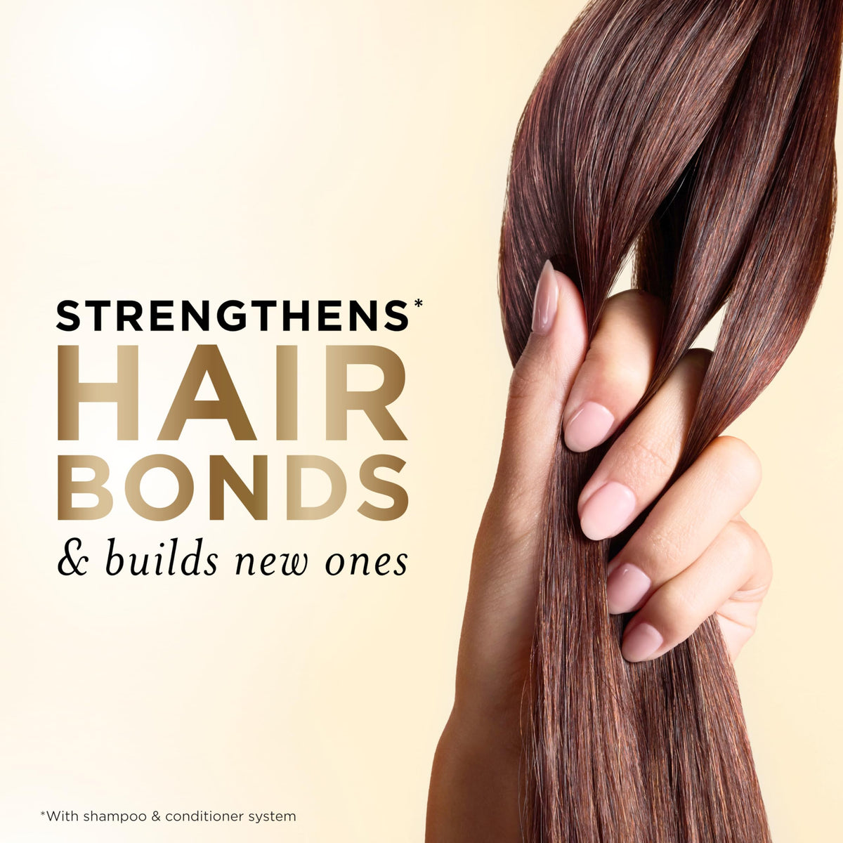 Imported USA Pantene moisture renewal shampoo bottle close up on ingredients