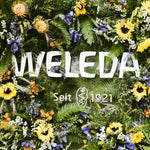 Weleda Skin Food organic plant extract body lotion back label details