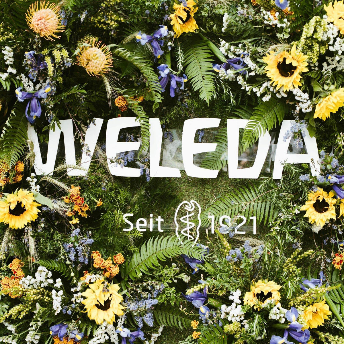 Weleda Skin Food organic plant extract body lotion back label details