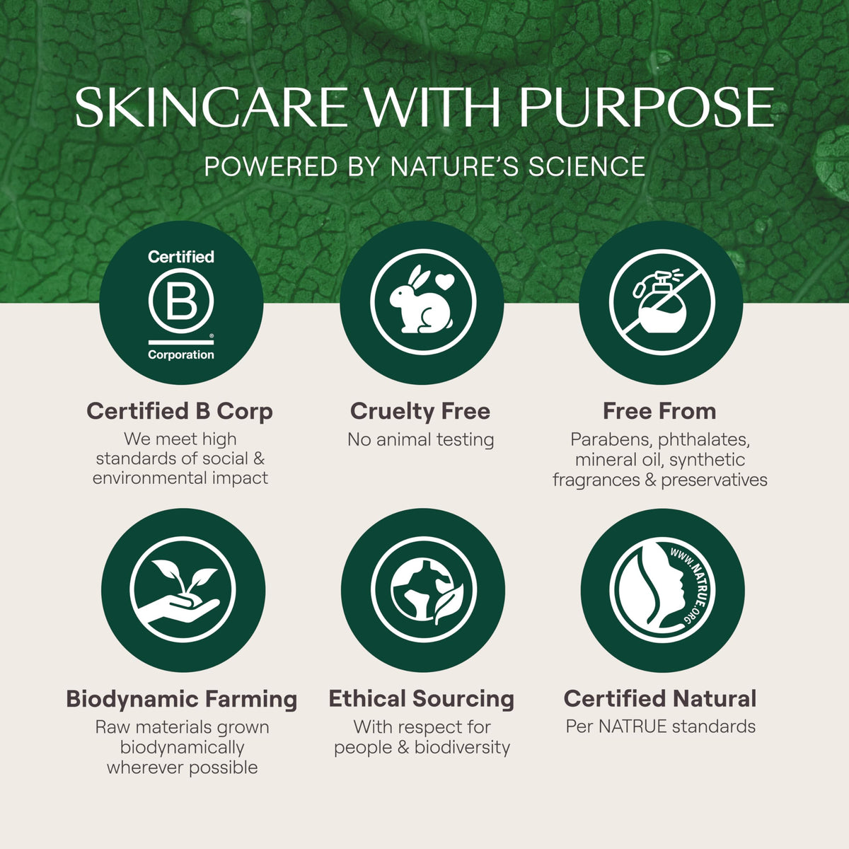 Weleda Skin Food authentic USA imported package details