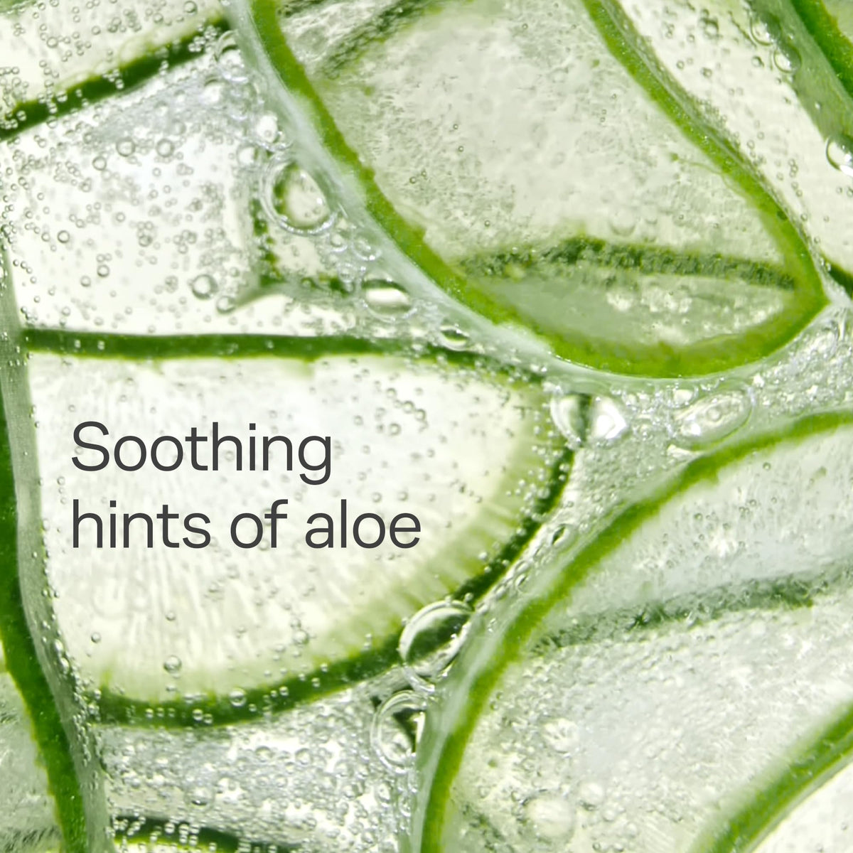 Side view of the six count refill pack highlighting the original packaging details