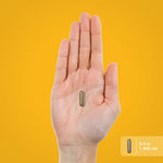 Imported Piping Rock Chamomile premium sleep support and relaxation herbal capsules container details.