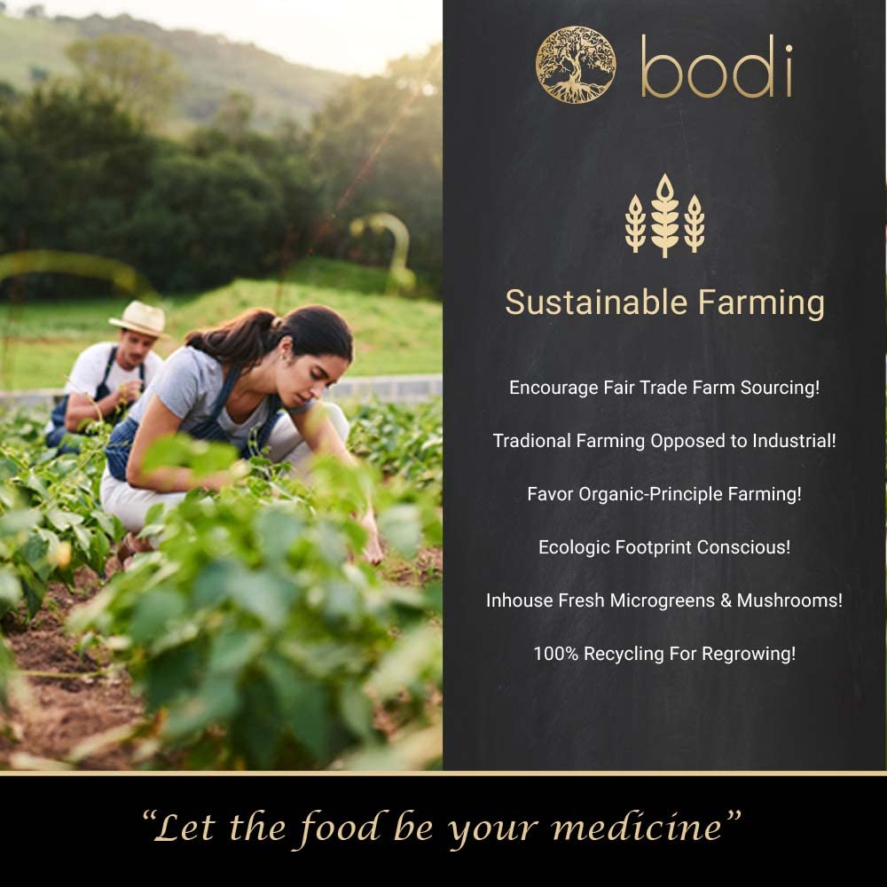 Bodi branded alfalfa leaf botanical supplement in secure black packaging