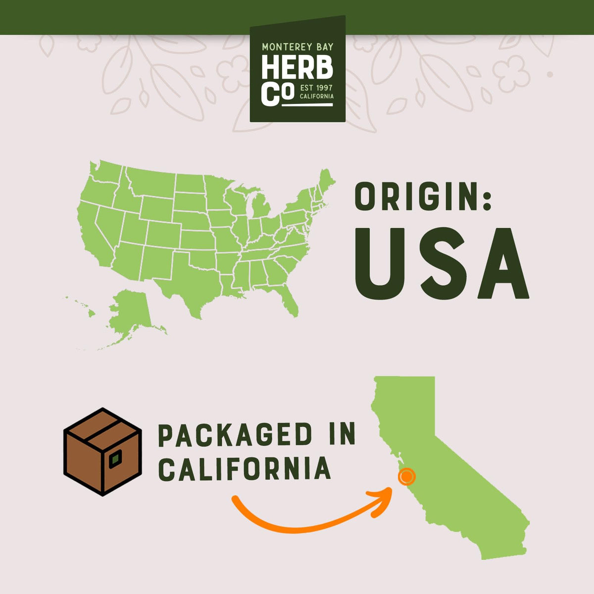 Alfalfa leaf cut and sifted organic herb details