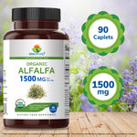 Authentic USA imported Brieofood Organic Alfalfa bottle resting on a clean surface showcasing natural wellness design.