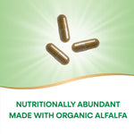 Close up of Nature's Way Alfalfa 100 capsules bottle